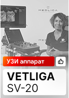 Видеоотзыв на УЗИ аппарат VETLIGA SV-20 Габриелы Имберт