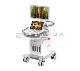 Siemens ACUSON Redwood