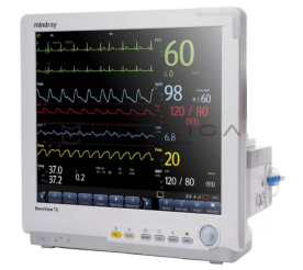 Mindray BeneView T6