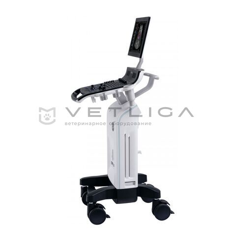 GE Versana Essential, 2