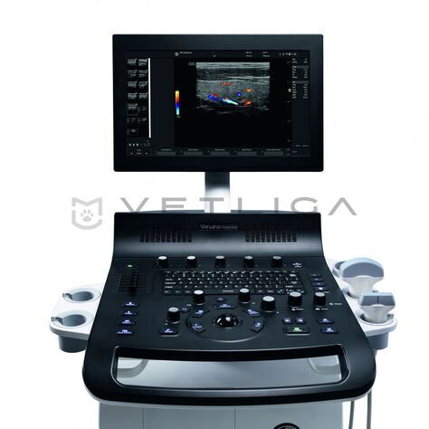 GE Versana Essential, 6