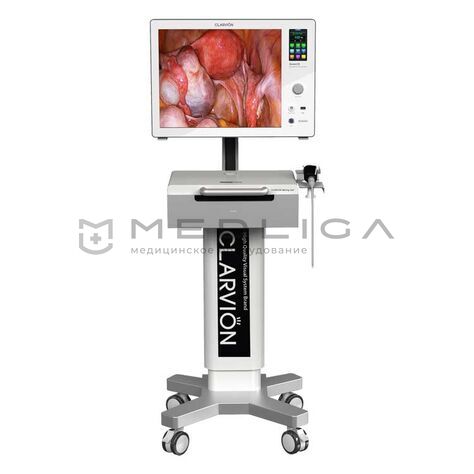 Chammed QVION 15 (HD), 3