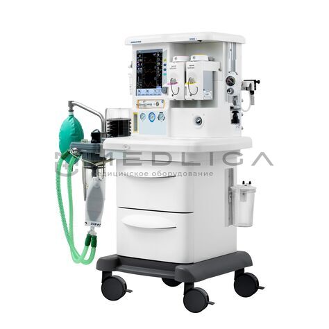 MS Westfalia Maja X55, 6